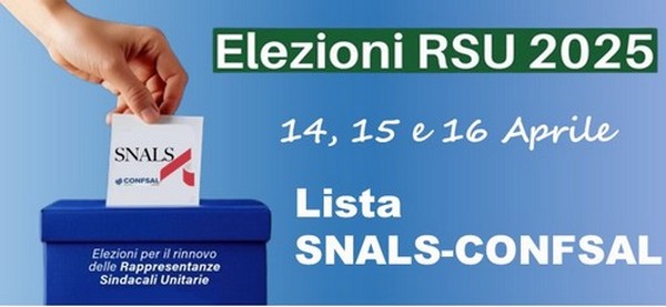 elezioni rsu